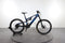 Raymon TrailRay 160E 9.0