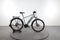 Raleigh Dundee LTD