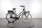 Gazelle Miss Grace C7+