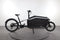 Cube Cargo Sport Dual Hybrid
