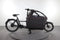 Riese & Müller Packster 70