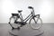 Gazelle Miss Grace C7+