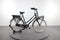 Gazelle Miss Grace C7+