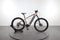 Corratec E-Power X-Vert Pro
