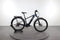 Cannondale Tesoro Neo X 2