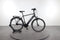Raleigh Bristol LTD