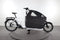 Riese & Müller Packster2 70