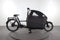 Riese & Müller Packster 70 vario