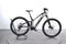 Trek Powerfly FS 4