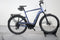 Pegasus Premio EVO 10 Lite