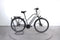 Raleigh Bristol Premium