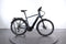 Pegasus Premio EVO 10 Lite