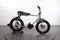Ruff Cycles LIL DAZZLE Ltd. Edition