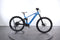 Mondraker Chaser R