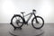 Trek Powerfly 7