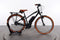 Riese & Müller Cruiser Mixte Vario