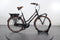 Gazelle Miss Grace C7+ HMB