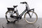 Gazelle Miss Grace C7+ HMB