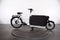 Riese & Müller Packster 70 vario