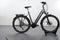 Raleigh Kent 10