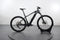 Trek Powerfly 4