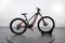Corratec E-Power X-Vert Pro