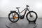 Haibike Trekking 10