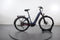 Ebike Das Original Trekking Pro