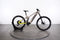 Haibike ALLMTN 2