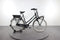Gazelle Miss Grace C7+