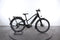 Cannondale Tesoro Neo X 2