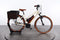 Riese & Müller Cruiser Mixte Vario