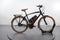 Riese & Müller Cruiser2 vario