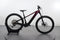 Trek Powerfly+ 6 E