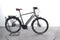 Raleigh Bristol XXL