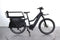 Riese & Müller Multicharger GT Mixte Family