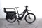 Riese & Müller Multicharger2 Mixte GT Family