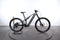 Merida eOne Sixty 875