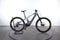 Orbea Wild M10