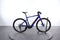 BMC Alpenchallenge AMP AL ONE