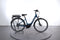 Trek Verve +1 Lowstep