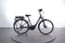Trek Verve +1 Lowstep