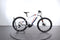 Haibike SDURO HardNine 5.0
