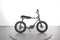 Ruff Cycles Lil'buddy