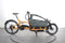 Riese & Müller Load4 60 touring
