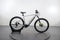 Bulls LT EVO CX