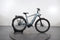 Pegasus Estremo Evo 12 Lite