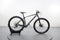 Trek Procaliber 9.5