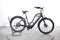 Woodee Bikes Coastliner Swan