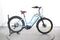 Woodee Bikes Coastliner Swan